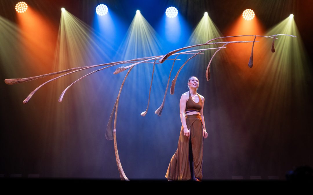 Retour à la Blackpool Magic Convention